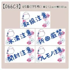 【066C3】ケアシール