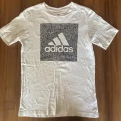 adidas Ｔシャツ 160センチ