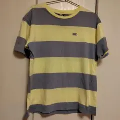 カンタベリー Tシャツ ボーダー イエロー M