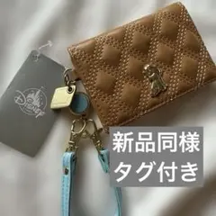 ディズニー　わんわん物語　レディ　パスケース　ディズニーストア
