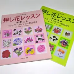 杉野宣雄著　ふしぎな花倶楽部　押し花レッスン テキスト　2冊セット