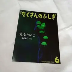 たくさんのふしぎ　光るきのこ