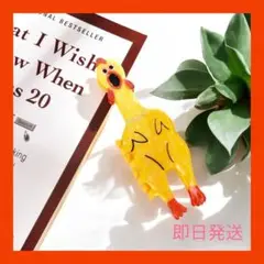 びっくりチキン　ヘアクリップ　バンスクリップ　SNS人気アイテム