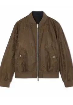 Item thumbnail for item 5200b959-ee4c-4ebf-b7ff-a9bf673ea7bd