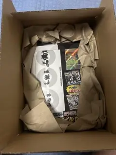 【新品未開封】ブラックボルト ホワイトフレア カードファイルセット