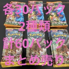 未開封60パックまとめ売り