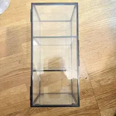 コレクションケース