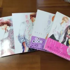 青春シンデレラ 1~4 全巻 テレビドラマ化