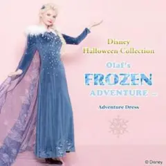 シークレットハニー エルサ アナと雪の女王 公式衣装