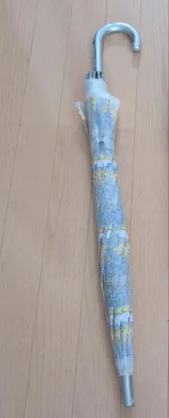 デイジーの傘