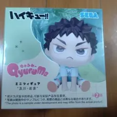 ハイキュー!!　きゅるみー　ミニフィギュア　岩泉一