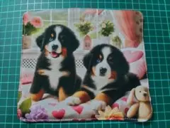 バーニーズちゃん4重ガーゼハンカチ2枚セット　ハンドメイド