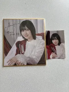 的野美青　櫻坂46 サクコレ サイン入り　ミニ色紙　会場くじ C賞
