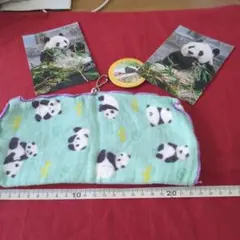 王子動物園　パンダ　タンタン写真、マグネット　他