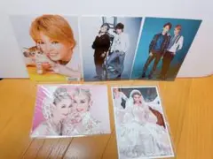 宝塚歌劇　写真　五枚組