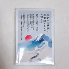 年賀状じまい2025 新年お知らせ 私製10枚入り 特選デザイナーズ パピレイ