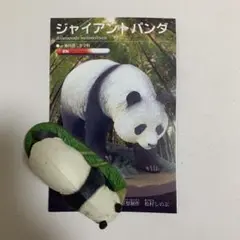 レッドデータアニマルズ ジャイアントパンダ 動物 ミニチュアフィギュア 翌日発送