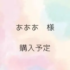【あああ様購入予定品】