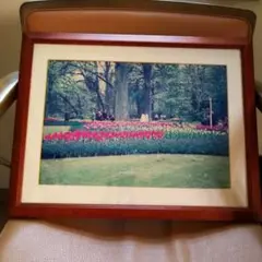 Item thumbnail for item 467d49ed-9991-408b-a9e5-c8cecad9ea8d