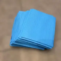 Item thumbnail for item aa1e0ec2-c6dc-4f01-9e04-b9e175fd86e7