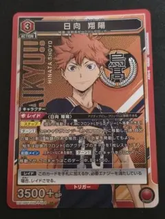 【最安】ユリオンアリーナ ハイキュー 日向翔陽 SR 1点
