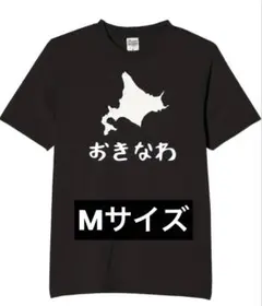 【新品・未使用】 おきなわ Tシャツ Mサイズ おもしろTシャツ おもしろ 日本