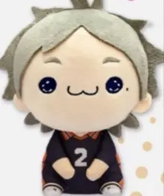 ハイキュー!! もちぴこぬいぐるみ5 菅原孝支