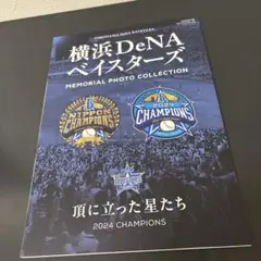 横浜DeNAベイスターズ　頂に立った星たち