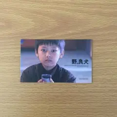 野。良犬　劇場特典　Jun