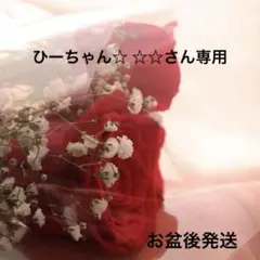 ひーちゃん☆ ☆☆さん専用