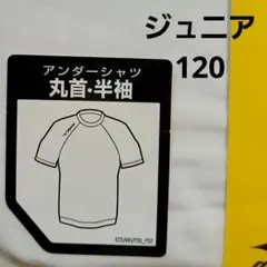 MIZUNO ジュニアアンダーシャツ 丸首 半袖 120　白