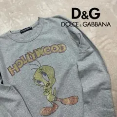 希少 ドルチェ&ガッパーナ ドルガバ 長袖Tシャツ HOLLYWOOD ビジュー