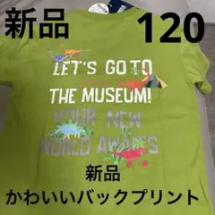BREEZE 恐竜Tシャツ 120サイズ グリーン
