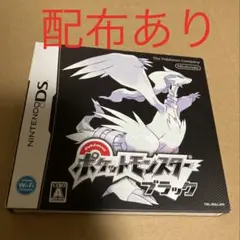 ポケットモンスター　ブラック　ポケモン外箱付き　ジラーチゼクロム等配布あり　DS
