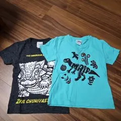 未使用 Tシャツ 110 恐竜博物館 2023 マイプ ズール