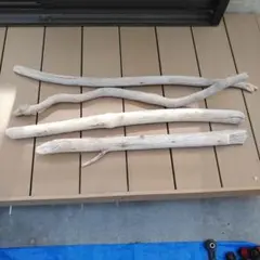 Item thumbnail for item 5bafc084-fd45-49ee-a3db-a56a7f04a920