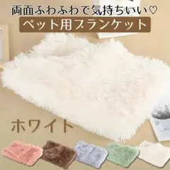 Item thumbnail for item 57b2ee5d-b0ee-4300-aad1-0ecb98941318