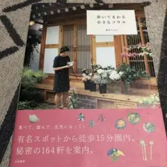 歩いてまわる小さなソウル