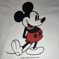 Walt Disney　Tシャツ　ロンT　白足　ミッキー　コピーライト　ラグラン