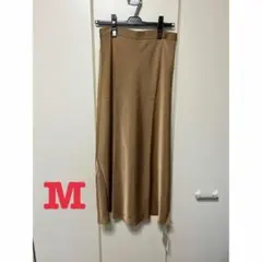 Item thumbnail for item 4d198595-d458-422d-b748-d9327dfab8e4