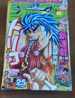 少年ジャンプ 2008年 25号