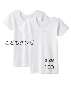 Item thumbnail for item aa1f3f95-57e2-4b6e-9cb3-ea7ea41e45f4