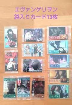 エヴァンゲリオン 袋入りカード 13枚セット