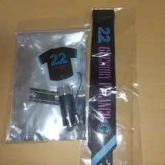 千葉ロッテマリーンズ 22 ポランコ選手 ペンライト ボンフィン