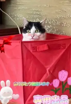 在庫限り2wayオーバーオール コーディロイ スヌーピー ポケット付き 犬 猫