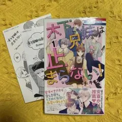 木下兄妹は止まらない 1巻 チキン 初版 特典 ペーパー