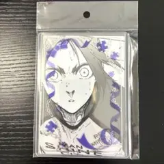 【✨早い者勝ち✨】ブルーロック展 ブルロ展 硬質ケース&ブロマイド 御影玲王