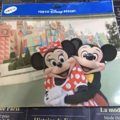 東京ディズニーリゾート　ディズニーキャラクター　実写 クリアファイル6枚セット