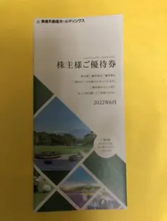 ★東急不動産ホールディングス 株主優待券1冊★