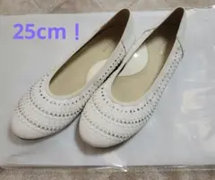 Item thumbnail for item 553969e4-df95-447f-bf7f-8a35720b81b7